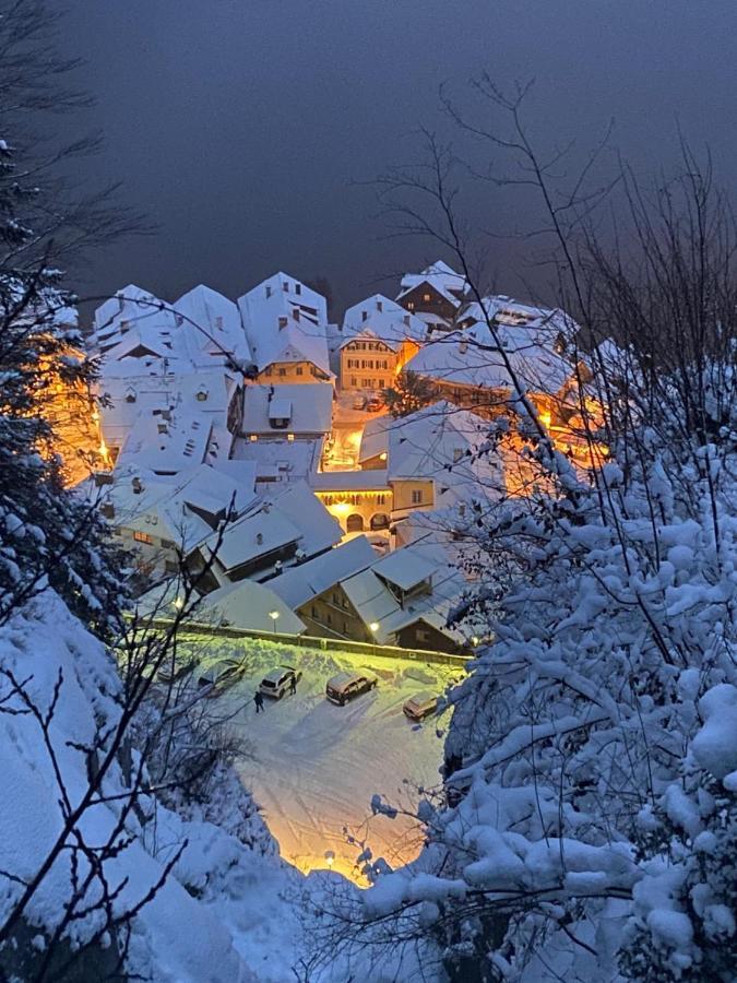 Appartement Emilia Hallstatt Buitenkant foto